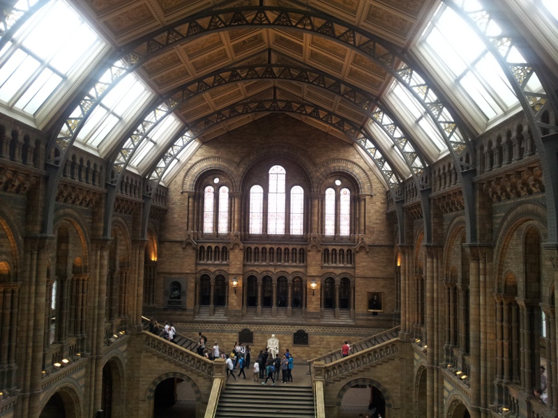 View of the atrium inside the NHM